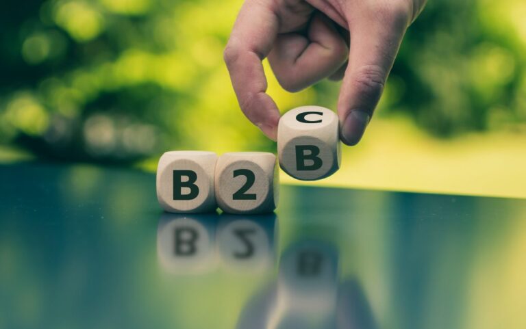 B2B eCommerce Store Owners Could Benefit from B2C Options
