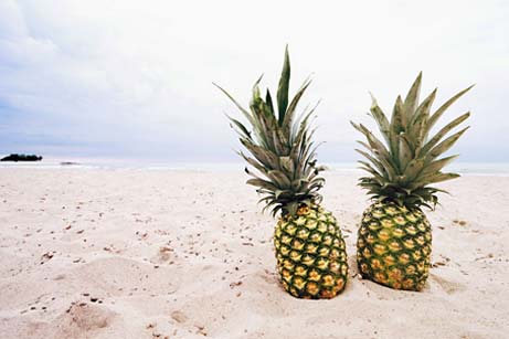 2 Pineapples on a beach