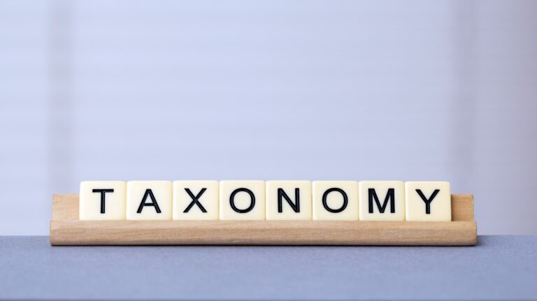 The Value of Developing Web Store Taxonomy
