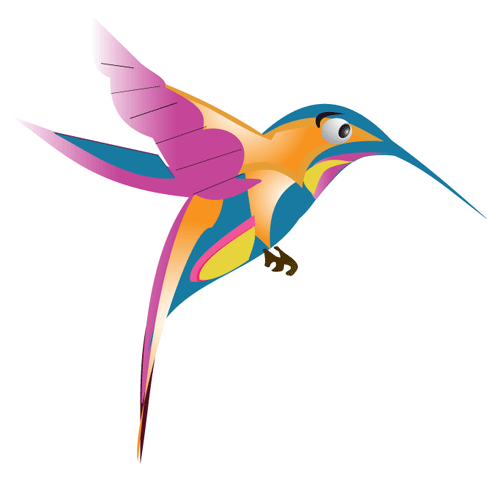 Hummingbird Graphic