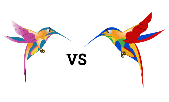google-hummingbird-free-image-thoughtshift-10
