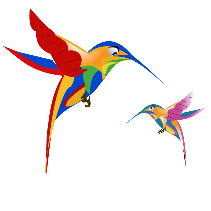 google-hummingbird-free-image-thoughtshift-01