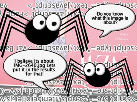 Supporting illustration of spiders